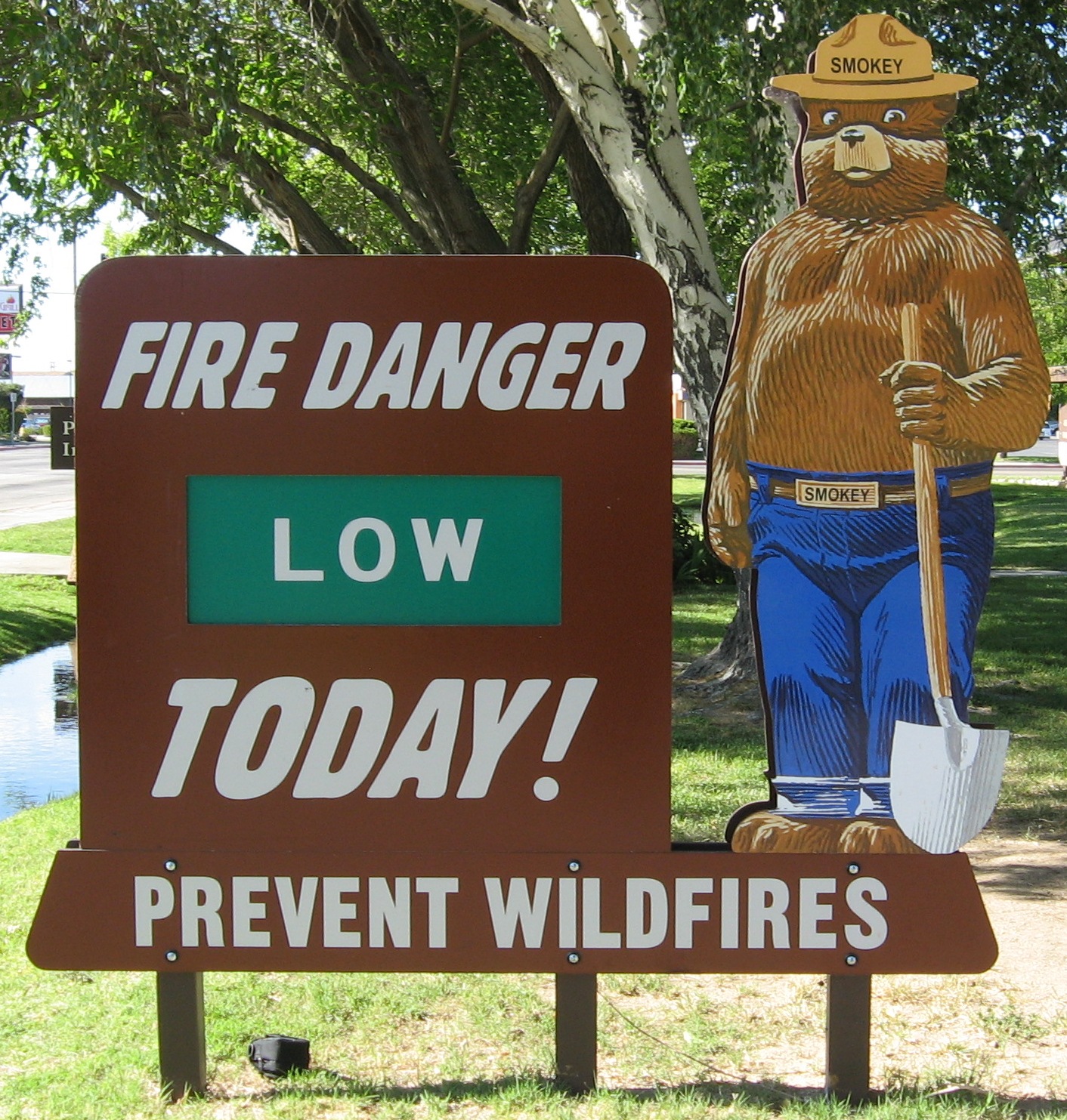 Wildfire Prevention